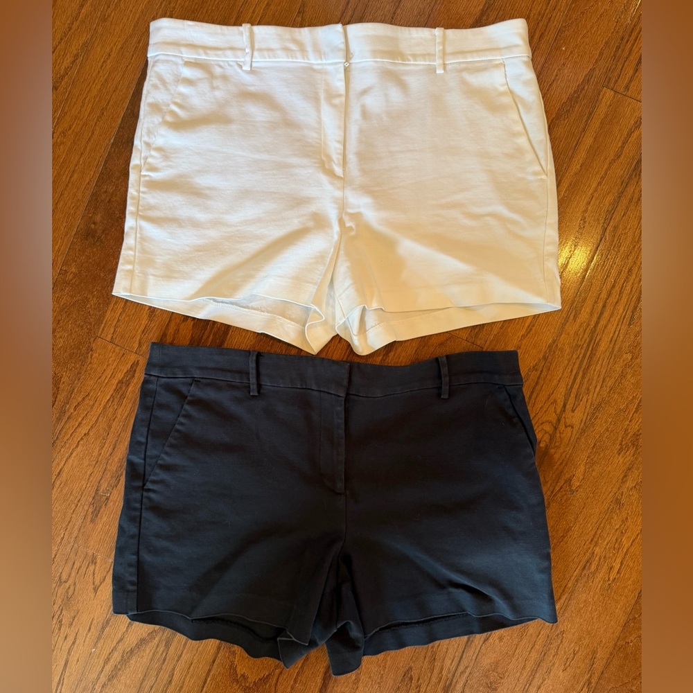 LOFT- Riviera  Women's Shorts in White and Black